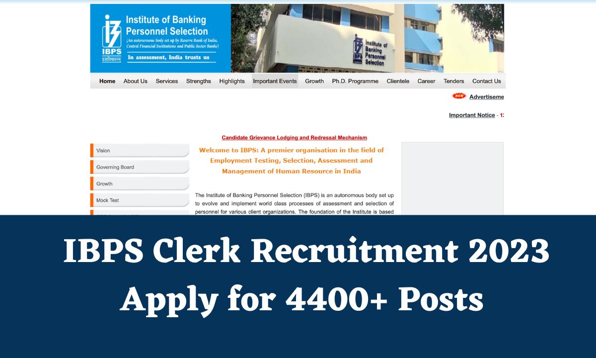 ibps clerk recruitment 2023
