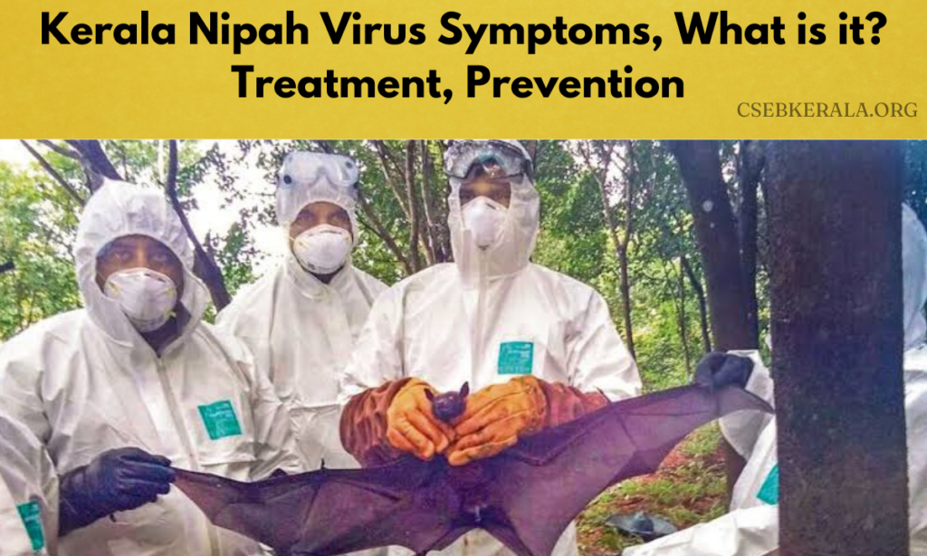 Kerala Nipah Virus Symptoms, What is it? Treatment, Prevention
