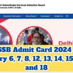 DSSSB Admit Card 2024: