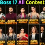 Big Boss Season 17th Winner,Contestants List, Voting Result