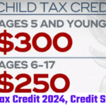 Child Tax Credit 2024, Credit Stimulus, Payment Schedule @irs.gov